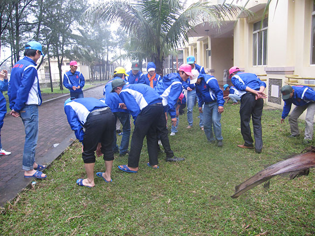Teambuilding 